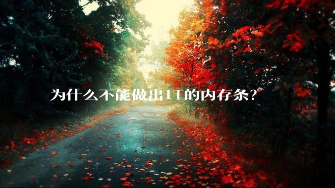 为什么不能做出1T的内存条？